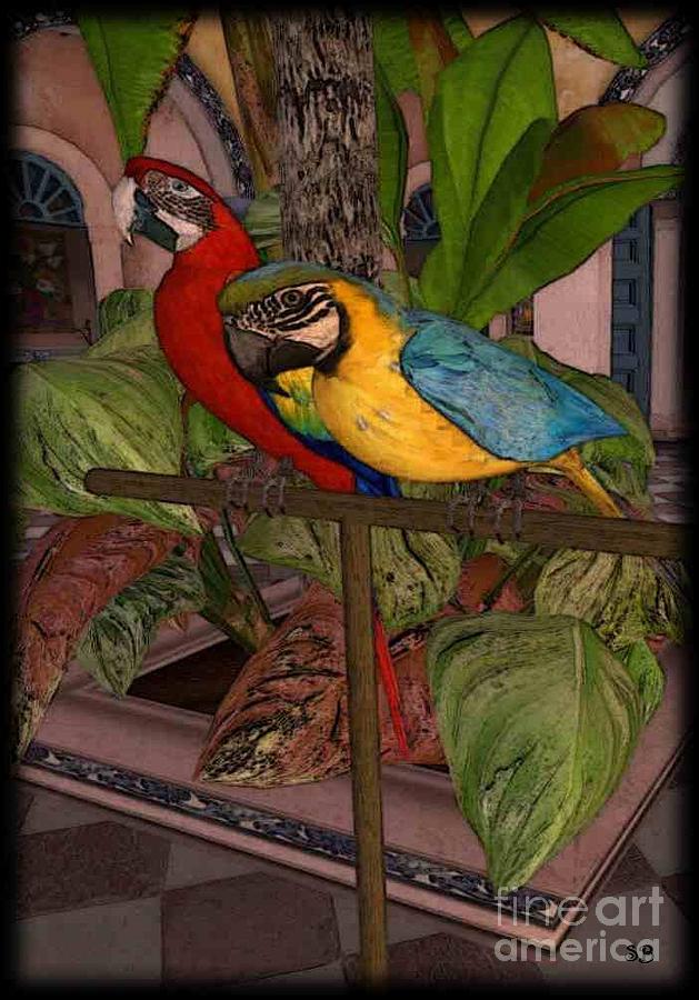 Parrots2 Digital Art by Susanne Baumann