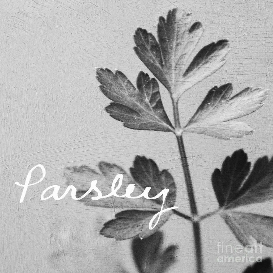 Parsley Mixed Media by Linda Woods