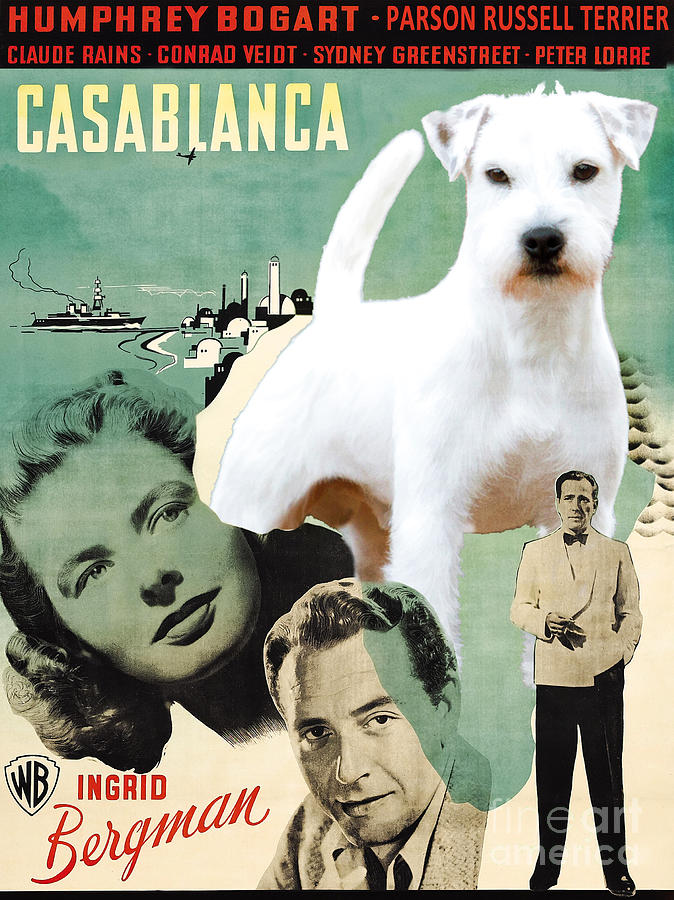 Parson Russell Terrier Art Canvas Print - Casablanca Movie Poster Painting by Sandra Sij