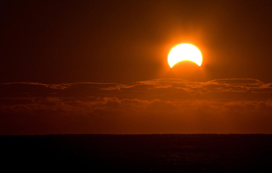 Partial  Eclipse of the Sun Photograph by Greg Graham