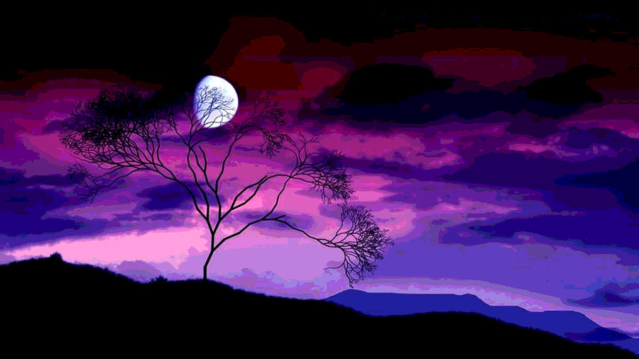 Partial Moon In Purple Sky Photograph