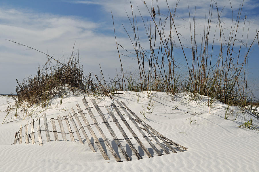 Partially Buried Fence on Florida Gulf Coast Sand Dunes Photograph by Bruce Gourley