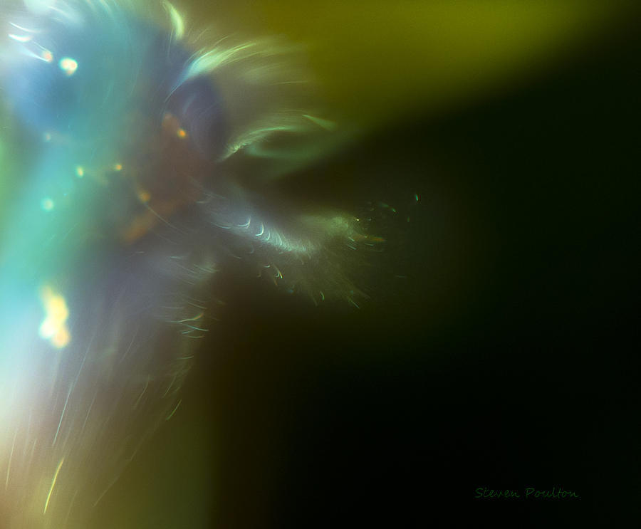 Particle Light Photograph by Steven Poulton