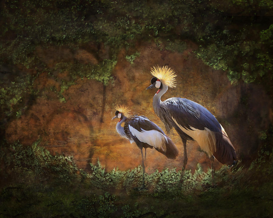 Heron Photograph - Partners in Paradise by Melinda Hughes-Berland
