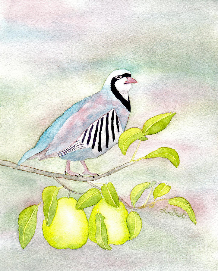 Partridge in a Pear Tree Painting by Laurel Best