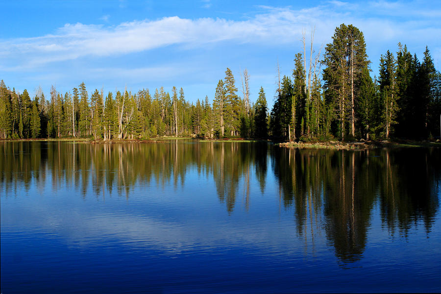 Pass Lake Reflections Photograph by TL Mair Fine Art America