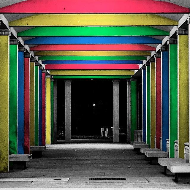 Fineart Photograph - Passage At The Muny In Forest Park - by Randall Allen