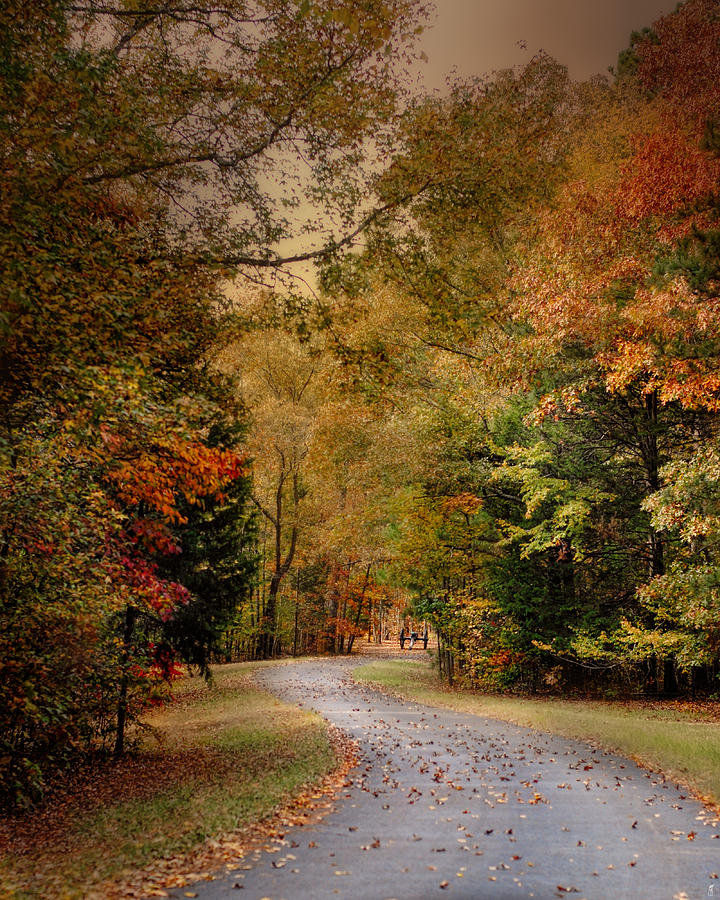 Passage of Time - Autumn Landscape Photograph by Jai Johnson