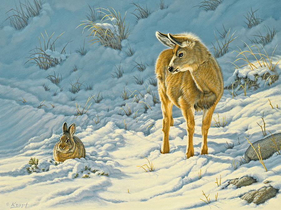 Wildlife Painting - Passing Curiosity by Paul Krapf