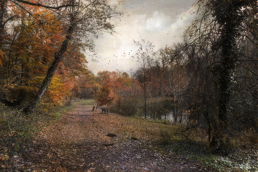 Tree Photograph - Passing through Hopkins Pond by John Rivera