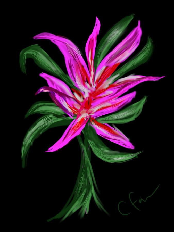 Passion Flower Digital Art by Christine Fournier