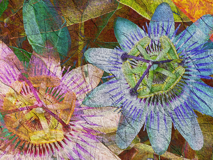 Passion Flowers Digital Art by Kiki Art