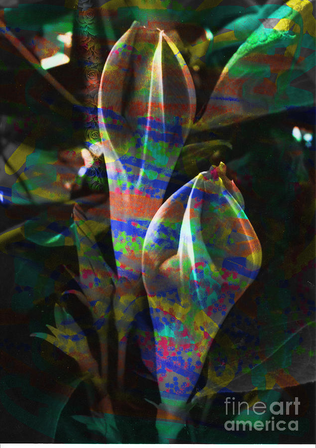 Abstract Flower Digital Art - Passion Flowers by Yael VanGruber