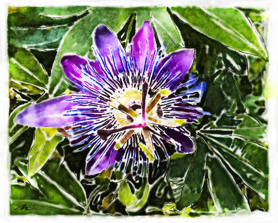 Passion fruit flower Painting by Nato  Gomes