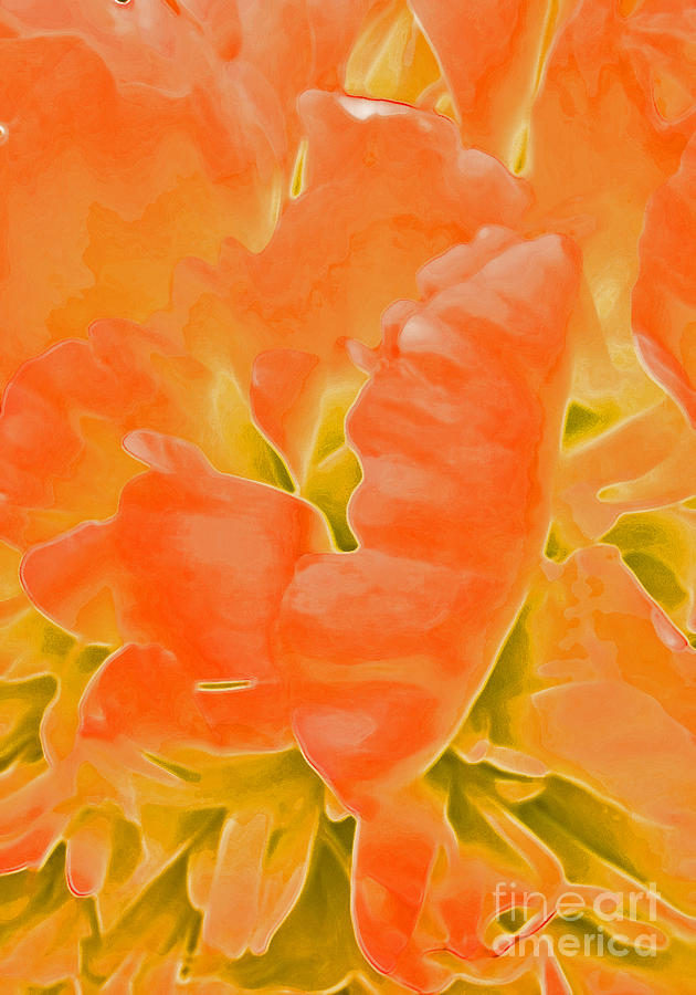 Passion Orange by jrr Photograph by First Star Art