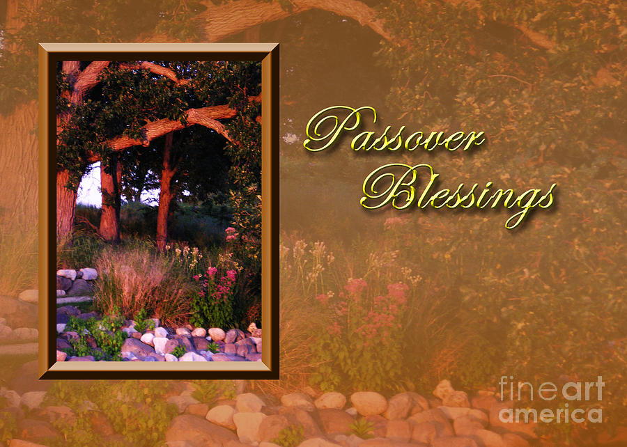 Sunset Photograph - Passover Blessings Woods by Jeanette K