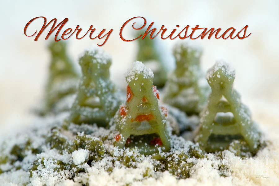 Pasta Christmas Trees with Text Photograph by Iris Richardson