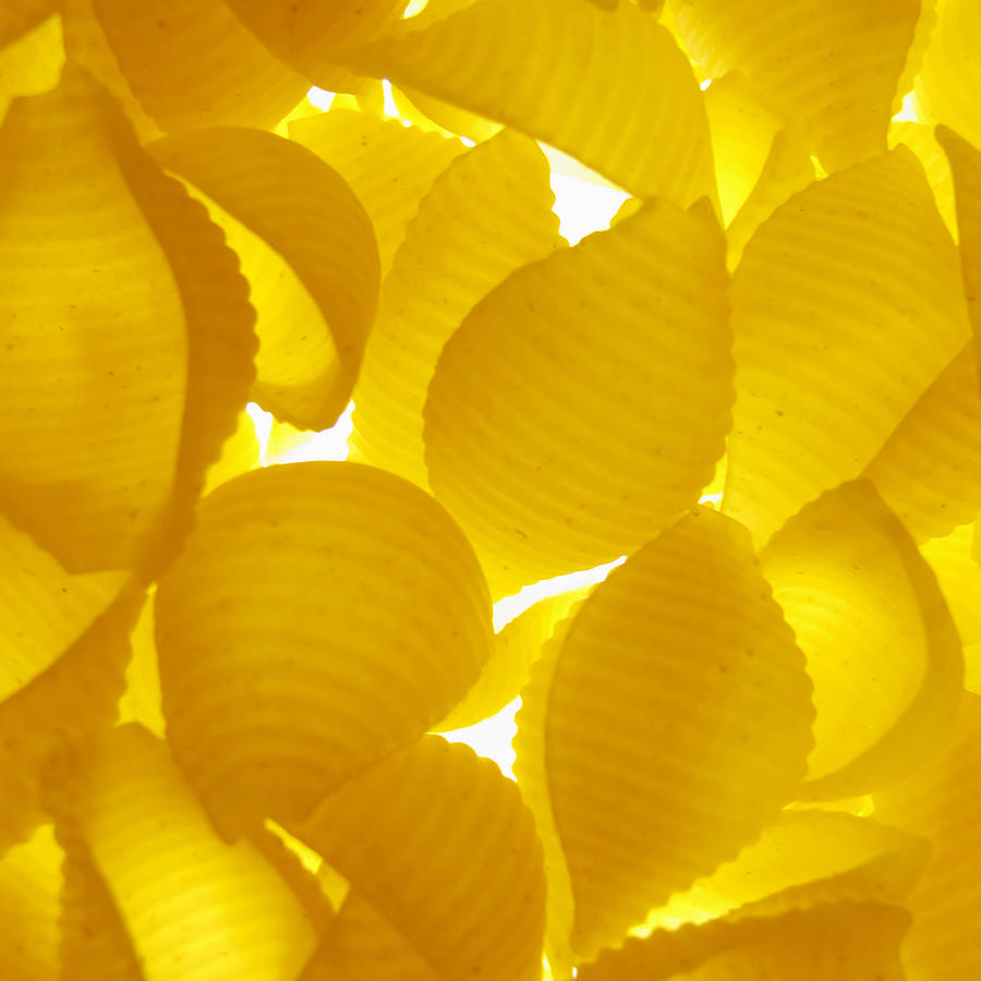 Abstract Photograph - Pasta Shell Yellow Transparent Macro by Cindy Xiao