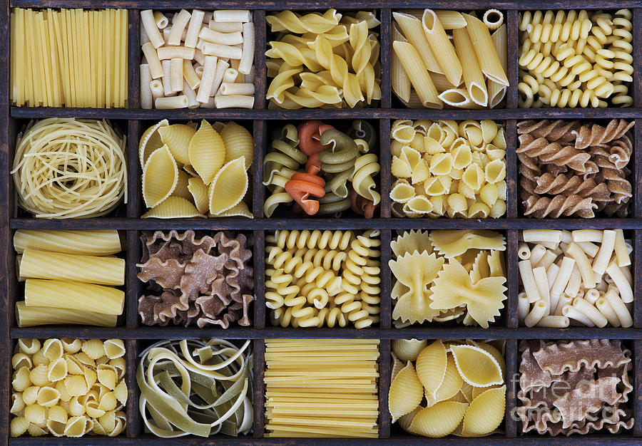 Shell Photograph - Pasta by Tim Gainey