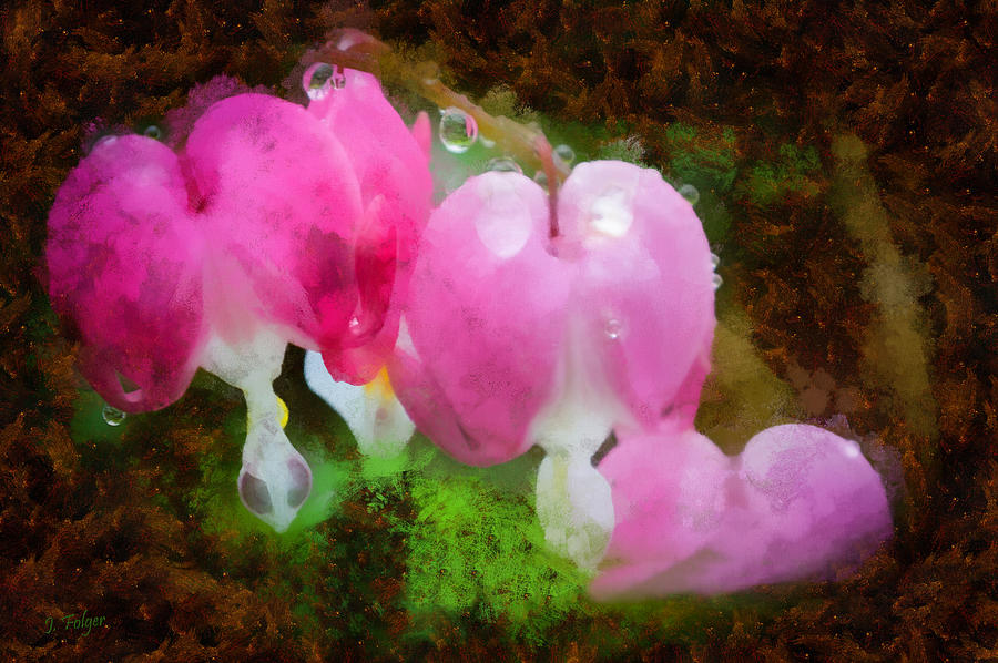 Nature Photograph - Pastel bleeding hearts by Jeff Folger