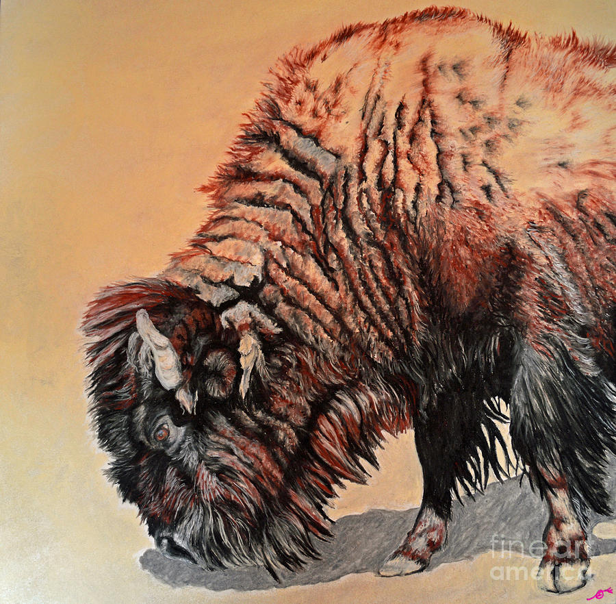Buffalo Pastel - Pastel Buffalo by Ann Marie Chaffin Buffalo Pastel - Pastel Buffalo by Ann Marie Chaffin