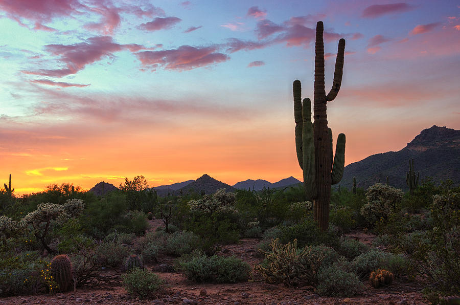 Pastel Desert Skies Photograph by Saija Lehtonen - Fine Art America