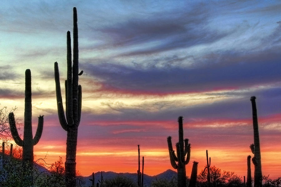 Pastel Arizona Sunset Canvas Print - Desert outlet Sunset Collection