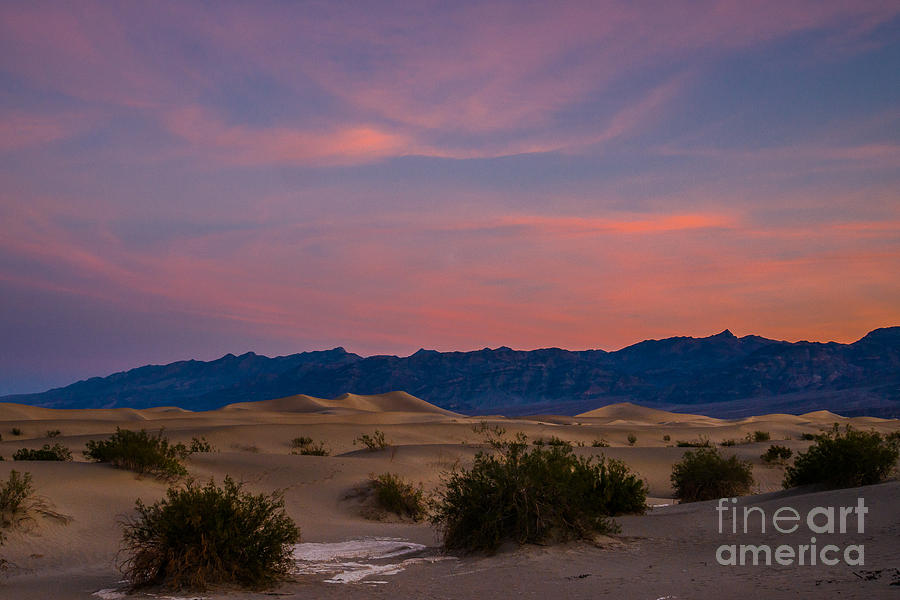 Pastel Dunes Photograph by Joan Wallner