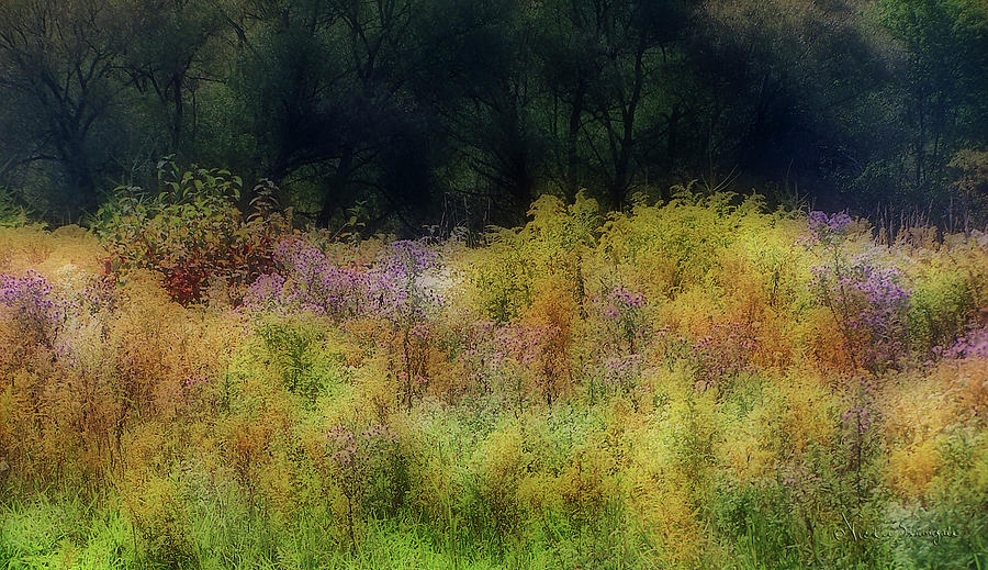 Pastel Field Photograph by Vickie Szumigala