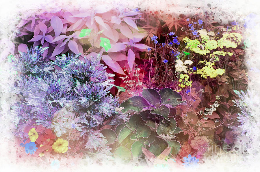 Flowers Still Life Photograph - Pastel Flower Bed by Linda Rae Cuthbertson