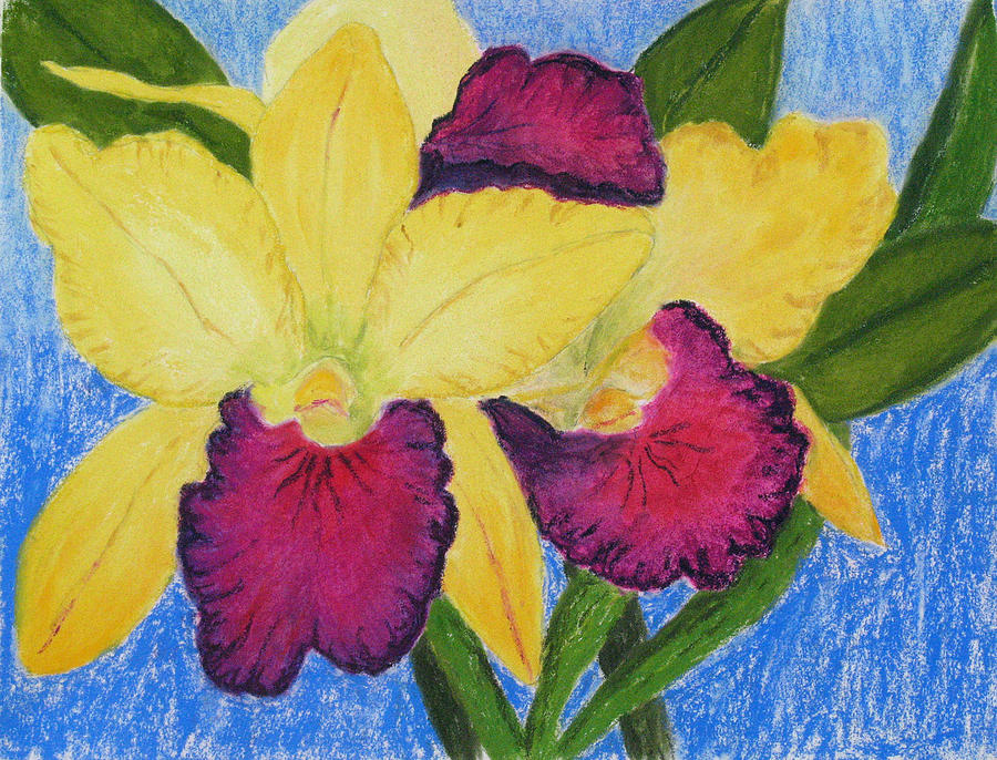 Pastel Orchid Pastel by Patricia Beebe