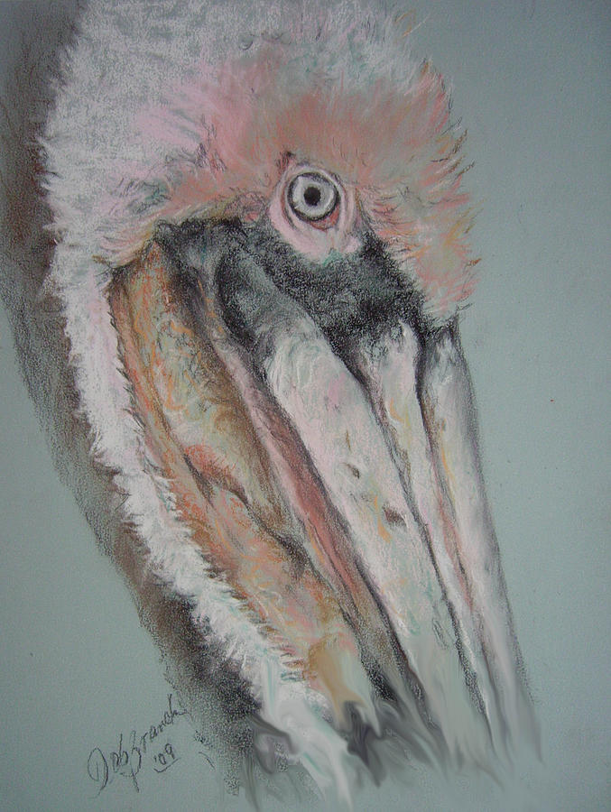 Pelican Drawing - Pastel Pelican by Deborah Branch