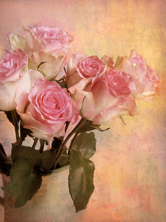 Pastel Roses Photograph by Jessica Jenney