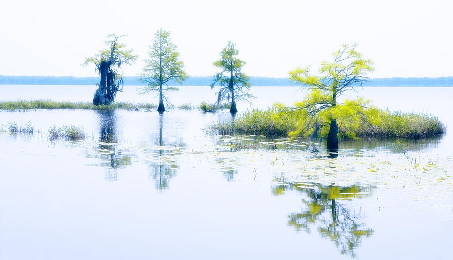 Pastel Serenity on the North Carolina Coast Photograph by Dan Carmichael Fine Art America
