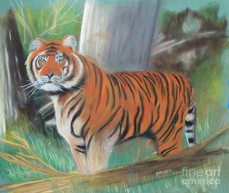 Pastel Tiger Painting by Carol Grimes