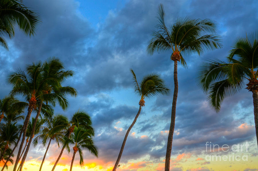 Pastel Tropical Sunrise Photograph by Kelly Wade