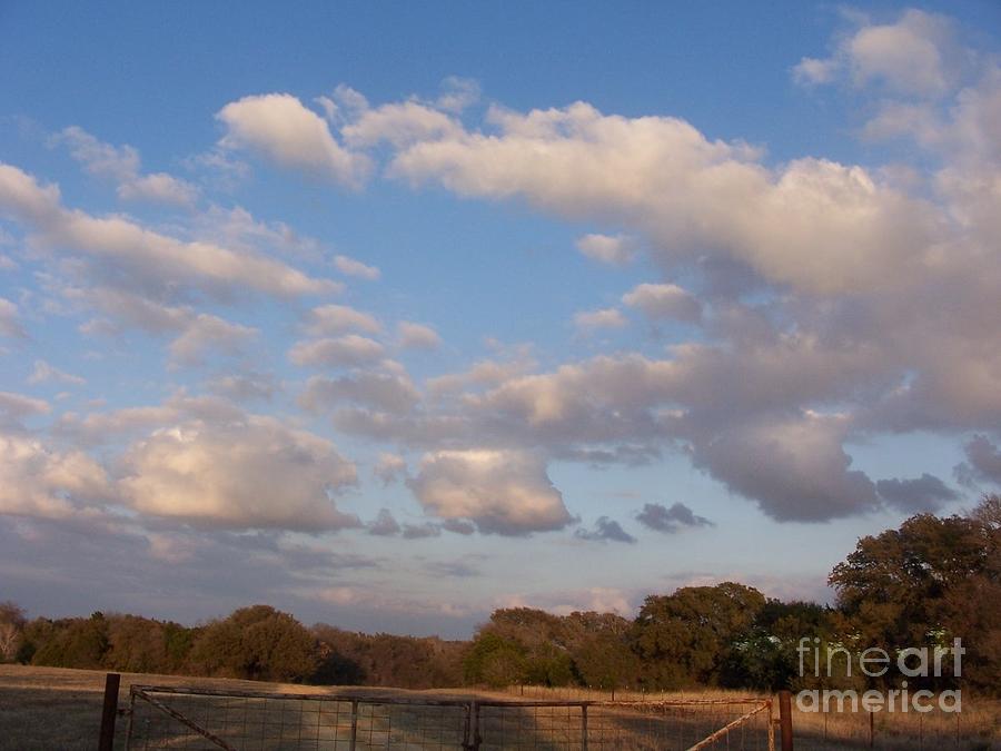 Pasture Clouds Photograph by Susan Williams