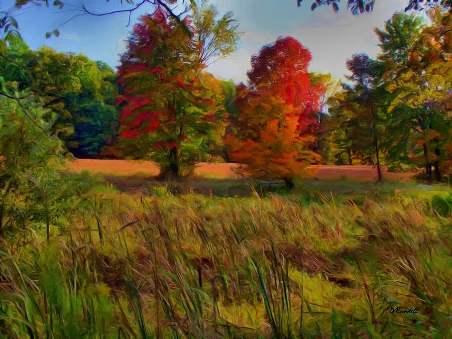 Fall Photograph - Pasture Gone Fallow by Dennis Lundell
