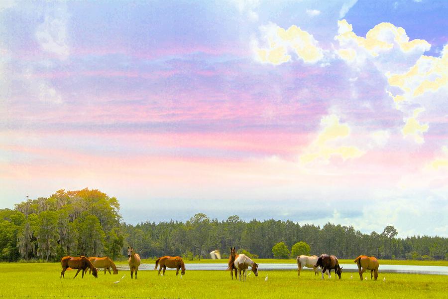 Pasture Horse Sunset Photograph by Alice Gipson