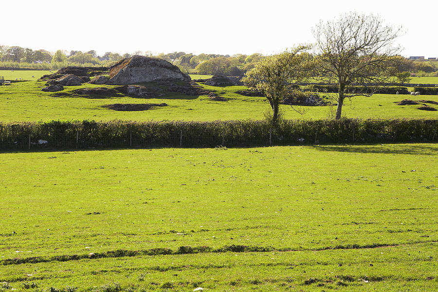 Pastureland With Hedge And Hard Rock Photograph by Martin Leigh