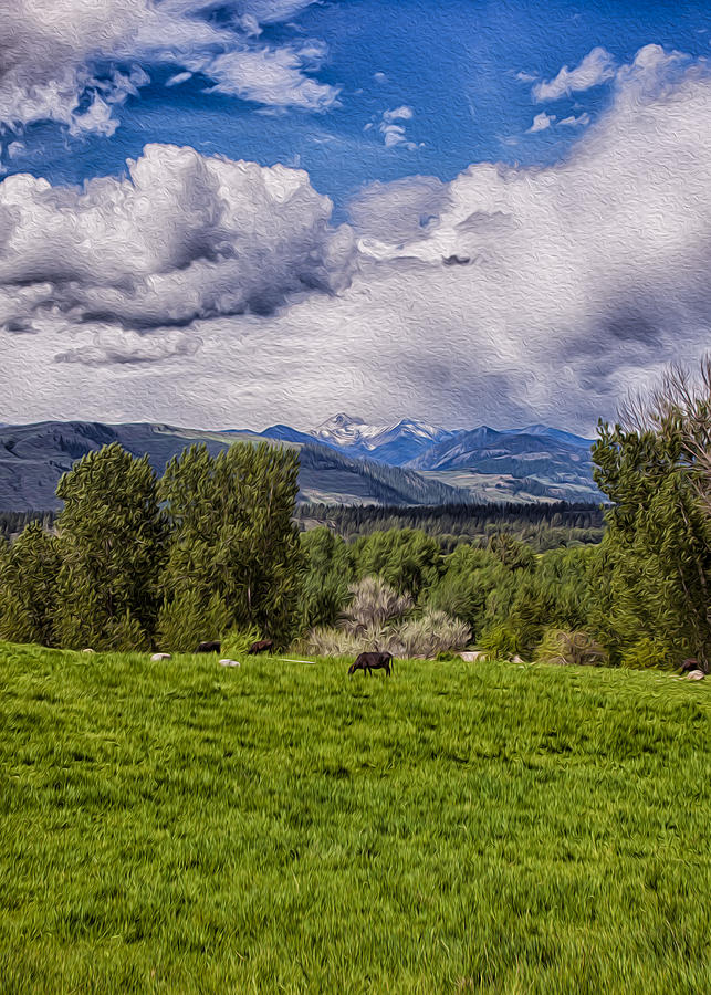 Nature Painting - Pastures and Clouds  by Omaste Witkowski