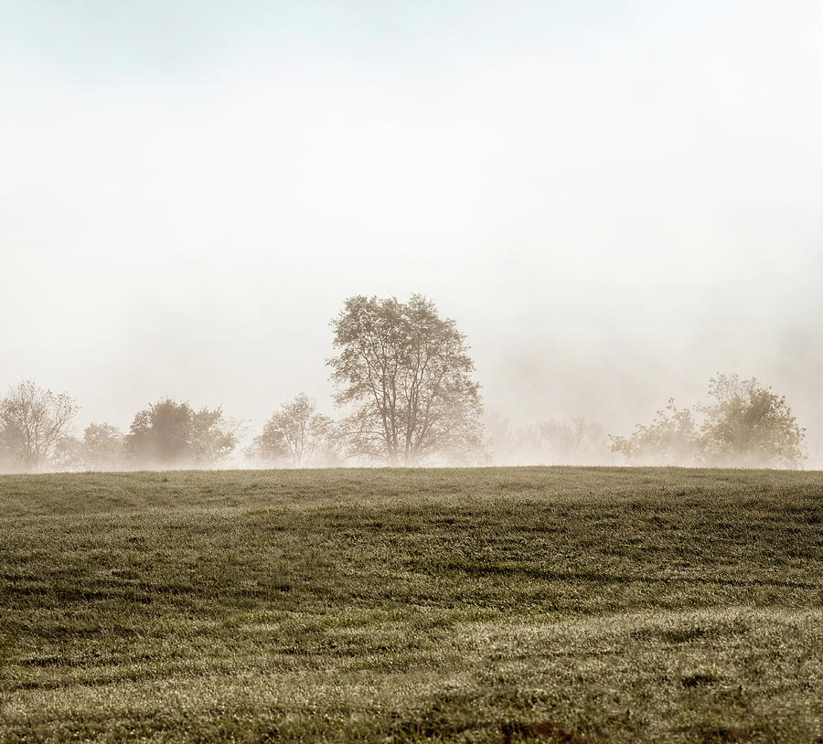 Pastures In The Mist Photograph by Nicolasmccomber