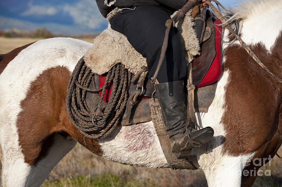 Patagonia Cowboy Saddle And Rope Photograph by John Shaw