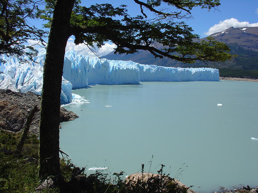 Nature Photograph - Patagonia by Pamela Guajardo-Lagos