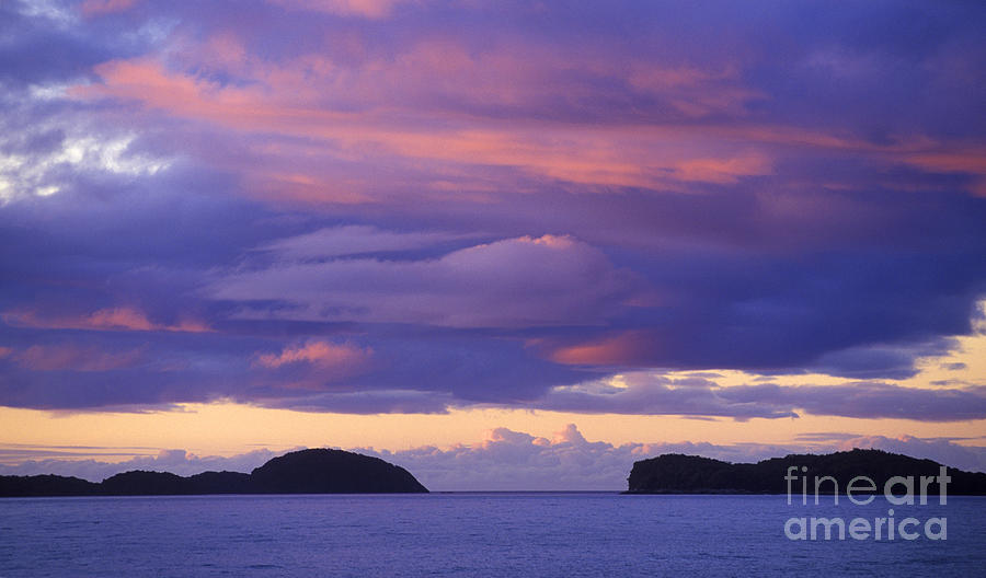 Patagonia Purple Photograph by Craig Lovell