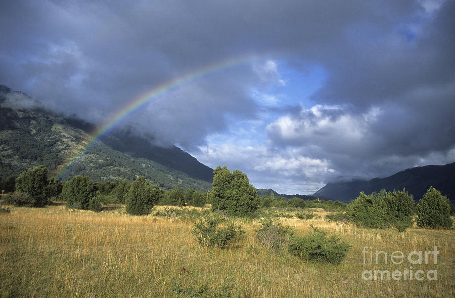 Nature Photograph - Patagonian rainbow by James Brunker