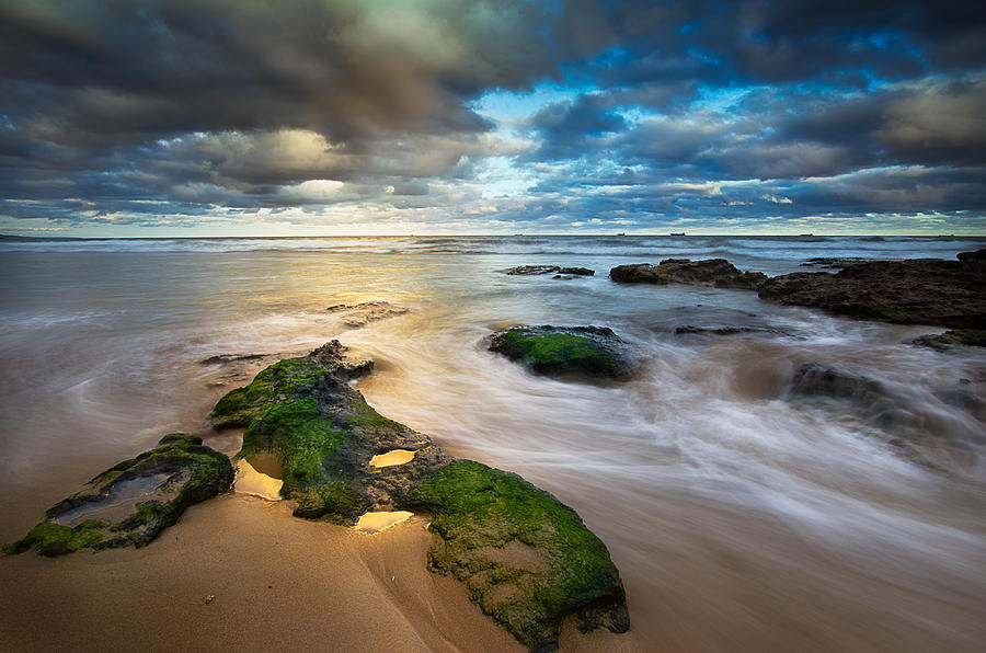 Beach Photograph - Patch of Green by Tony Heyward
