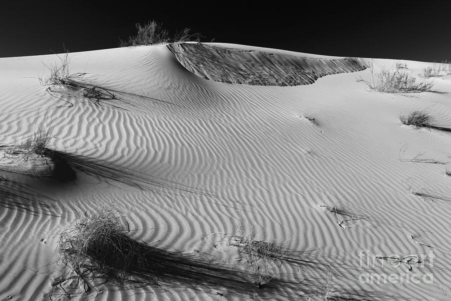 Patches In The Dunes Photograph by Adam Jewell