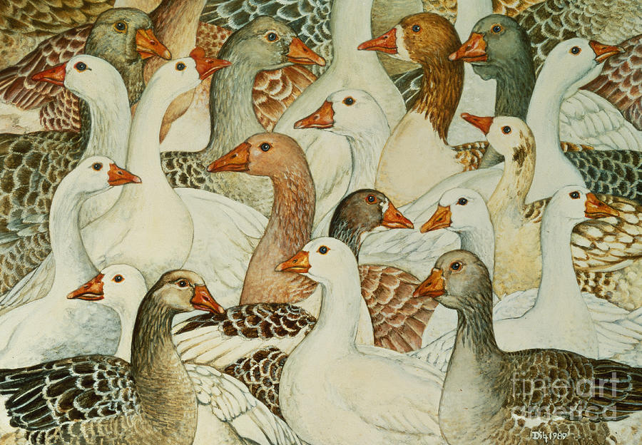 Duck Painting - Patchwork Geese by Ditz
