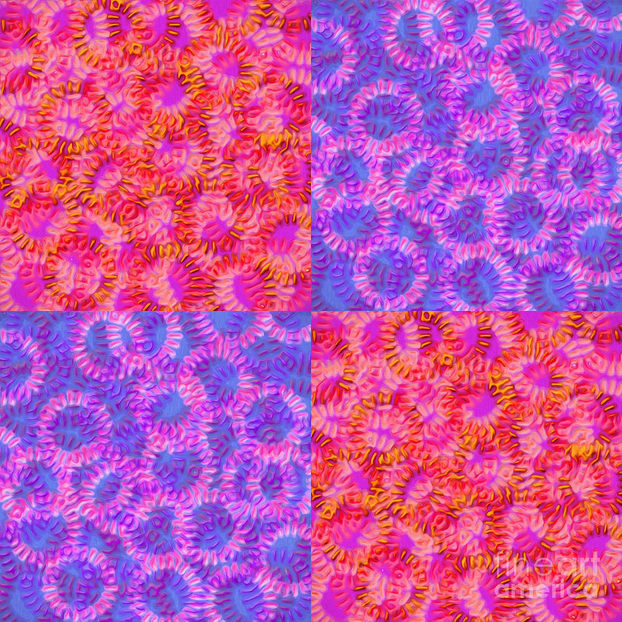 Patchwork Square Rings 1 And 2 Digital Art by Andee Design